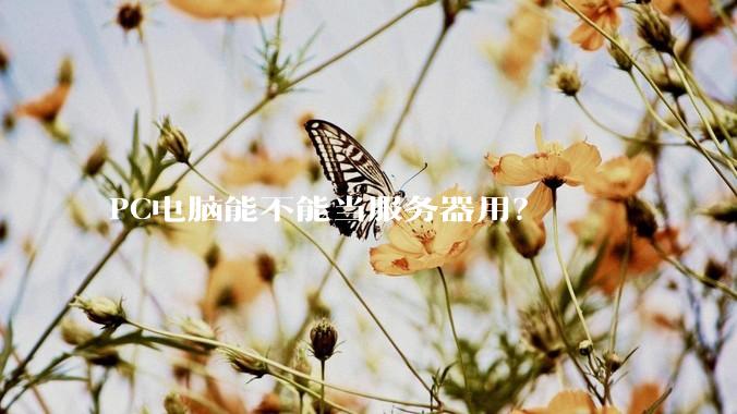 PC电脑能不能当服务器用？