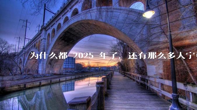 为什么都 2025 年了，还有那么多人宁可双持，也不愿意放弃安卓或非安卓手机？