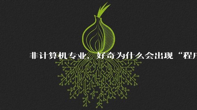 非计算机专业，好奇为什么会出现“程序依赖bug运行”的情况？