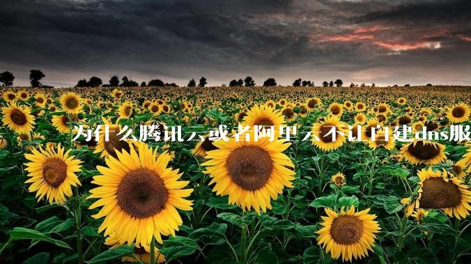 为什么腾讯云或者阿里云不让自建dns服务器?