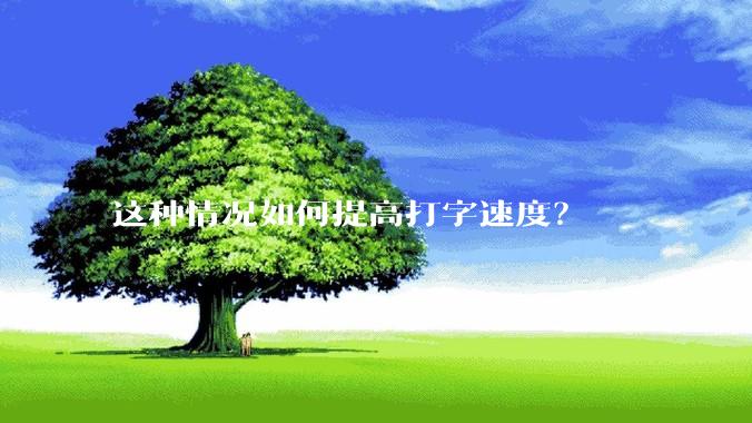 这种情况如何提高打字速度？