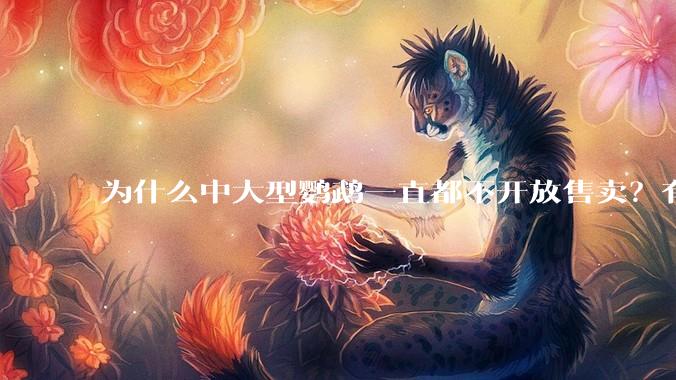 为什么中大型鹦鹉一直都不开放售卖？有哪些原因呢?
