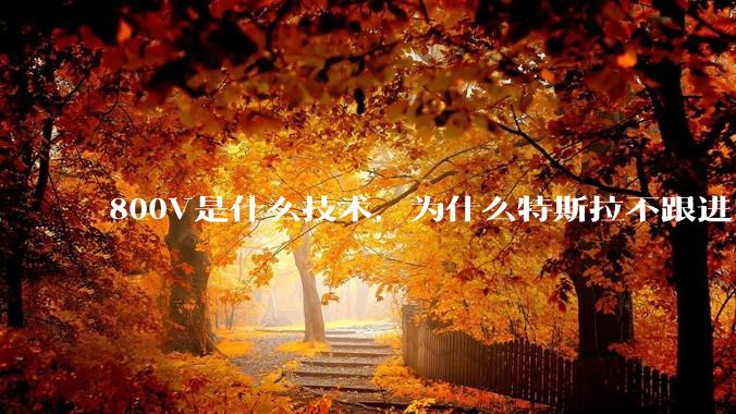800V是什么技术，为什么特斯拉不跟进？